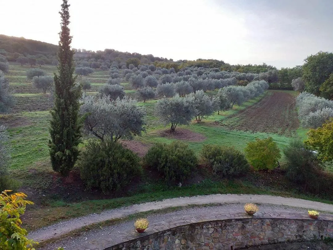 Agriturismo Barbi Monticchiello Bauernhof